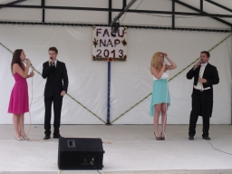 falunap2013_193_20180901